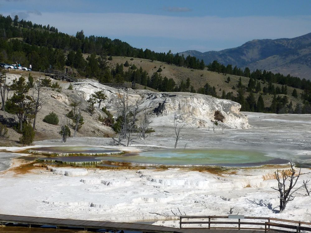 Yellowstone Mammoth Hotsprings (84).JPG